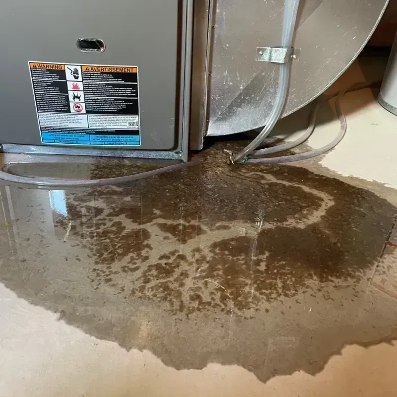 Appliance Leak Cleanup in Canton, ME